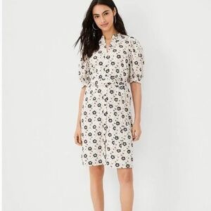 NEW Ann Taylor Linen Dress with Belt Size Medium Petite